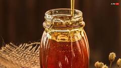 अमेरिकी टैरिफ लगने से सहारनपुर में शहद के एक्सपोर्टर्स को बड़ा झटका, कंटेनर्स होल्ड