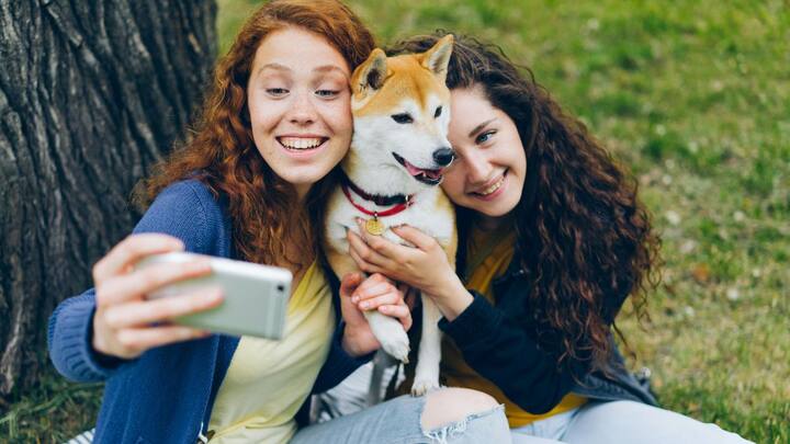 रिपोर्ट के मुताबिक कुत्तों की सबसे ज्यादा आबादी के मामले संयुक्त राज्य अमेरिका (अमेरिका) पहले नंबर पर है. अमेरिका में कुत्तों की संख्या करीब 7.58 करोड़ है. यह आंकड़ा अपने आप में चौंकाने वाला है. अमेरिका में पालतू जानवरों की देखभाल के लिए खास डॉग पार्क, ग्रूमिंग सेंटर और सख्त पशु संरक्षण कानून मौजूद हैं. पशु क्रूरता के मामलों में यहां कड़ी कार्रवाई की जाती है.