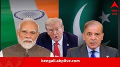 ১৫০ মিলিয়ন ডলারের যুদ্ধবিমান, নামানো হয়েছিল ৭টির বেশি? ভারত ও পাকিস্তানকে নিয়ে ফের বিস্ফোরক ট্রাম্প