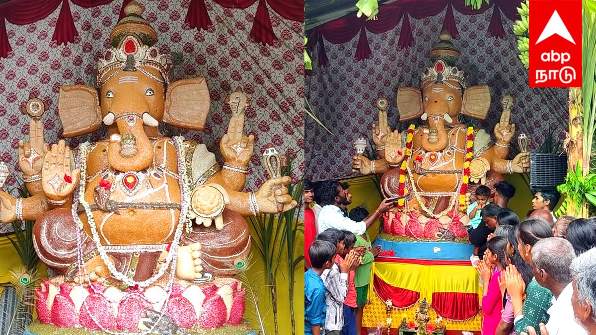Vinayagar Chathurthi 2025 : விழுப்புரத்தில் 10 அடி உயரத்தில் நவதானிய விநாயகர் சிலை! விவசாயம் செழிக்க புது முயற்சி!
