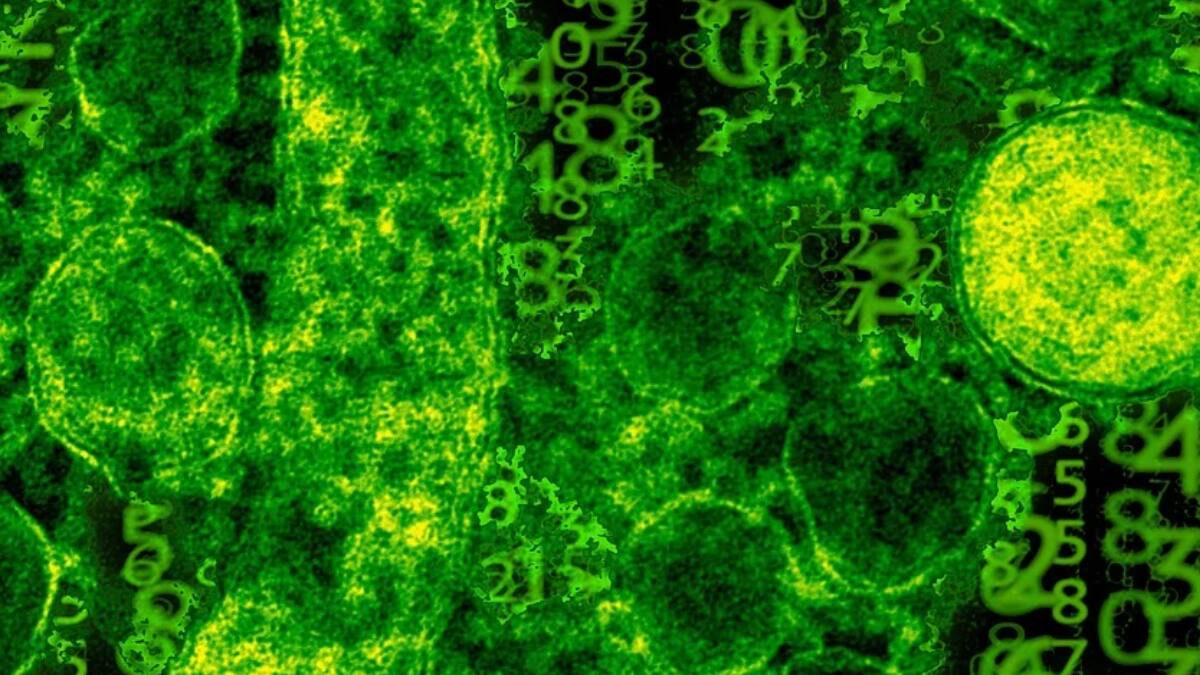 18 Brain-Eating Amoeba Cases In Kerala: What Is Amoebic Meningoencephalitis & How To Prevent It