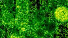 18 Brain-Eating Amoeba Cases In Kerala: What Is Amoebic Meningoencephalitis & How To Prevent It