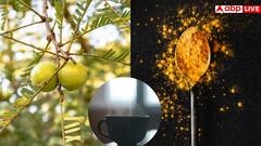 इम्युनिटी मजबूत करनी है तो आज से ही खाना शुरू कर दें सद्गुरु के बताए ये 2 सिंपल फूड, मिलेंगे इतने फायदे