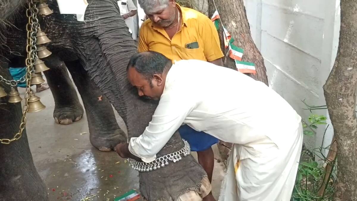 விநாயகர் சதுர்த்தி: மயிலாடுதுறையில் யானைக்கு வெள்ளி கொலுசு! பக்தர்களின் பரவசம், நெகிழ்ச்சியான நிகழ்வு!