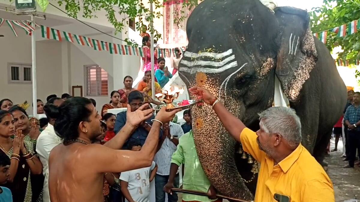 விநாயகர் சதுர்த்தி: மயிலாடுதுறையில் யானைக்கு வெள்ளி கொலுசு! பக்தர்களின் பரவசம், நெகிழ்ச்சியான நிகழ்வு!