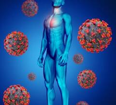 સ્વાસ્થ્યનો ખજાનો: લીમડાના પાન આ રોગોનો કરશે નાશ, જાણો તેના અદ્ભુત ફાયદા અને સેવન કરવાનો યોગ્ય સમય