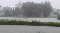 Rains Intensify In Kerala, IMD Issues Orange Alert In 6 Districts; Dams Fill, Landslides Reported