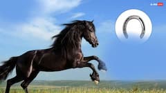 Premanand Maharaj: घोड़े की नाल की अंगूठी पहनना चाहिए या नहीं ? प्रेमानंद जी महाराज ने बताया रहस्य