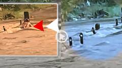Video: मना करने पर भी नहीं माना, लहरों ने बिगाड़ा बैलेंस, शख्स को बहा ले गई बाढ़, देखें वीडियो