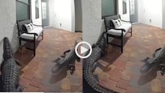 Video: गेट पर धमक पड़े दो दरिंदे, वीडियो देखकर ही निकल जाएगा दम! चाहे शर्त लगा लो