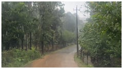 ఒడిశాలో తీరం దాటిన అల్పపీడనం- తెలంగాణలోని ఈ జిల్లాల్లో ఫ్లాష్‌ ఫ్లడ్స్