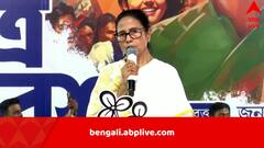 ‘আমাকে শিখিয়ে লাভ নেই, অনেক দেখেছি’, নতুন বইয়ের ঘোষণা মমতার, বিষয়বস্তু, প্রধানমন্ত্রীরা 'কে কেমন ছিলেন’