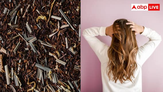 दोगुनी करना चाहती हैं बालों की ग्रोथ और शाइन? लेमनग्रास का ऐसे करें इस्तेमाल