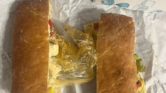 Noida Man Orders Sandwich, Finds Plastic Gloves Inside; Zomato Reacts