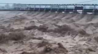 Punjab News: ਪੰਜਾਬ 'ਚ ਟੁੱਟਿਆ ਫਲੱਡ ਗੇਟ, ਸਥਿਤੀ ਕਾਬੂ ਤੋਂ ਬਾਹਰ; ਇੱਕ ਕਰਮਚਾਰੀ ਵੀ ਹੋਇਆ ਲਾਪਤਾ...