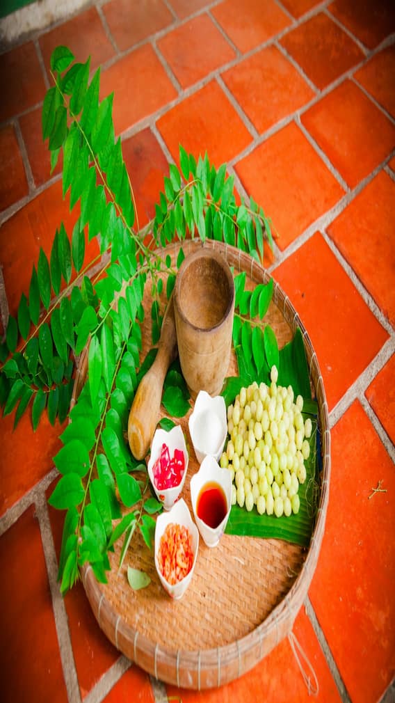 इस तरह लंबे समय तक ताजा रहेगा करी पत्ता