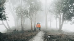 कहां होगी कितनी बारिश? इसका पता कैसे लगा लेते हैं वैज्ञानिक, जानिए पूरा विज्ञान