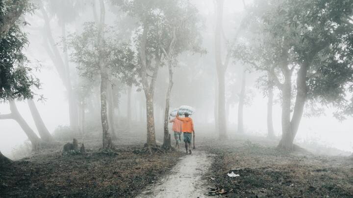 बारिश का पूर्वानुमान यानी वेदर फोरकास्टिंग एक जटिल लेकिन रोमांचक विज्ञान है जो मौसम की भविष्यवाणी को संभव बनाता है. तो आइए, इस विज्ञान को समझते हैं.