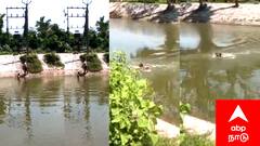 சூறாவளி காற்றால் தடைபட்ட விநியோகத்தை ஆற்றில் நீந்திச் சென்று மீட்டெடுத்த மின் ஊழியர்கள்..! வைரலாகும் வீடியோ - மக்கள் பாராட்டு