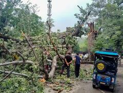 ਪੰਜਾਬ ਵਿੱਚ ਆਏ ਹੜ੍ਹ ਨੇ ਮਚਾਈ ਹਾਹਾਕਾਰ! ਇਨ੍ਹਾਂ ਜ਼ਿਲ੍ਹਿਆਂ 'ਚ ਹੋਈ ਸਭ ਤੋਂ ਜ਼ਿਆਦਾ ਤਬਾਹੀ, ਦੇਖੋ ਮੌਕੇ ਦੀਆਂ ਤਸਵੀਰਾਂ