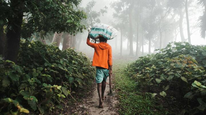 इसके लिए सैटेलाइट्स, रडार, मौसम स्टेशन जैसे उपकरणों का उपयोग होता है. सैटेलाइट्स बादलों की गति, तापमान और नमी के स्तर को मॉनिटर करते हैं. जबकि रडार बारिश की तीव्रता और दिशा को ट्रैक करते हैं. मौसम स्टेशन हवा की गति, दबाव और तापमान जैसी जानकारी देते हैं.