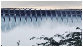 Andhra Pradesh River Water Level: ఆంధ్రప్రదేశ్, తెలంగాణలో నిండుకుండల్లా జలాశయాలు-కీలకహెచ్చరిక లు జారీ చేస్తున్న అధికారులు