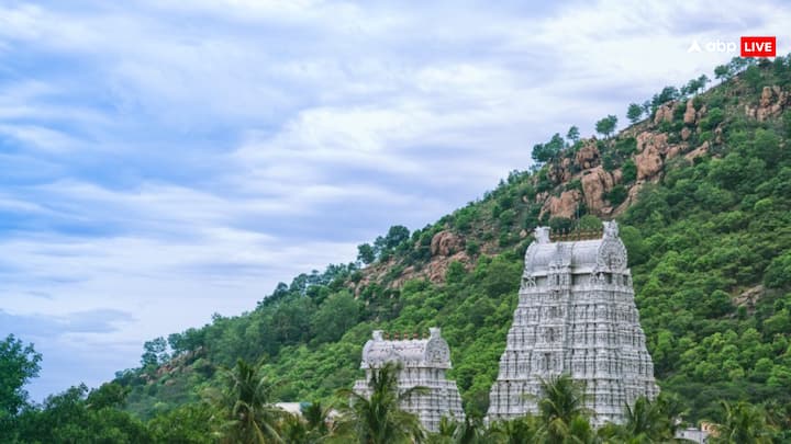 तिरुवन्नामलाई का अरुणाचलेश्वर मंदिर जहां का शिवलिंग अग्नि के सामान है. कार्तिगई दीपत उत्सव के दौरान अरुणाचला पहाड़ी के ऊपर एक विशाल अग्नि दीप जलाया जाता है, जो मीलों तक दृश्यमान होता है. विशाल अग्नि दीप की लौ और रोशनी शिव के उग्र रूप का प्रतीक है.
