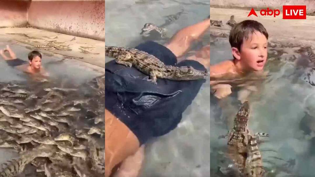 child jumps into a water with thousands of crocodiles video goes viral मेरी तो रूह कांप गई... हजारों मगरमच्छों के बीच पानी में तैरता मिला बच्चा, वीडियो देख फाख्ता हो जाएंगे होश