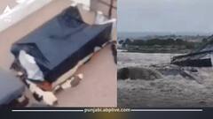 Punjab Weather Today: 7 ਜ਼ਿਲ੍ਹੇ ਹੜ੍ਹ ਦੀ ਚਪੇਟ 'ਚ, ਲੋਕ ਫਸੇ: ਅੱਜ ਰਾਹਤ ਦੀ ਉਮੀਦ, ਕੋਈ ਅਲਰਟ ਨਹੀਂ, ਸਕੂਲ ਬੰਦ, ਨਵਾਂ ਵੈਸਟਰਨ ਡਿਸਟਰਬੈਂਸ ਕੱਲ ਤੋਂ ਐਕਟਿਵ