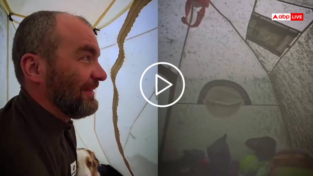 Thousands of mosquitoes due to a hole in the mosquito net risk of death of the person watch viral video Video: मौत तय थी ब्रो! मच्छरदानी ने बचा लिया, वीडियो देख बोले लोग- खून की बूंद भी नहीं मिलती