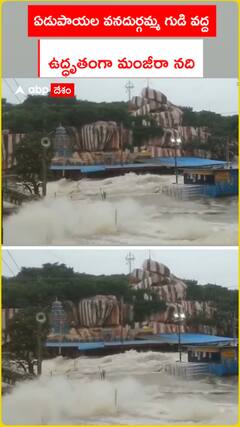 ఏడుపాయల వనదుర్గ గుడి దగ్గర మంజీరా ఉద్ధృతి