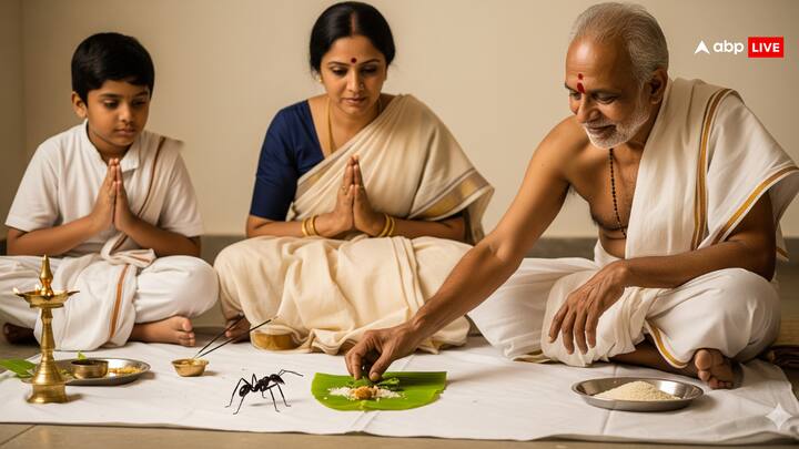पितृपक्ष के दौरान किसी भी जीव-जन्तु, कीड़े-मकौड़े को मारना या सताना नहीं चाहिए. ऐसा करने से जीव हत्या का पाप लगता है. मान्यताओं के मुताबिक पितृ पक्ष के दौरान हमारे पितर किसी न किसी जानवर या पक्षी का रूप में हमारे सामने आते हैं. इस दौरान उन्हें मारने या नुकसान पहुंचाने से पितर नाखुश होते हैं.