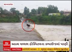 Hathmati River Flood : હાથમતી નદીમાં પૂર, કોઝવે પરથી પસાર થવા જતાં પશુ તણાયું