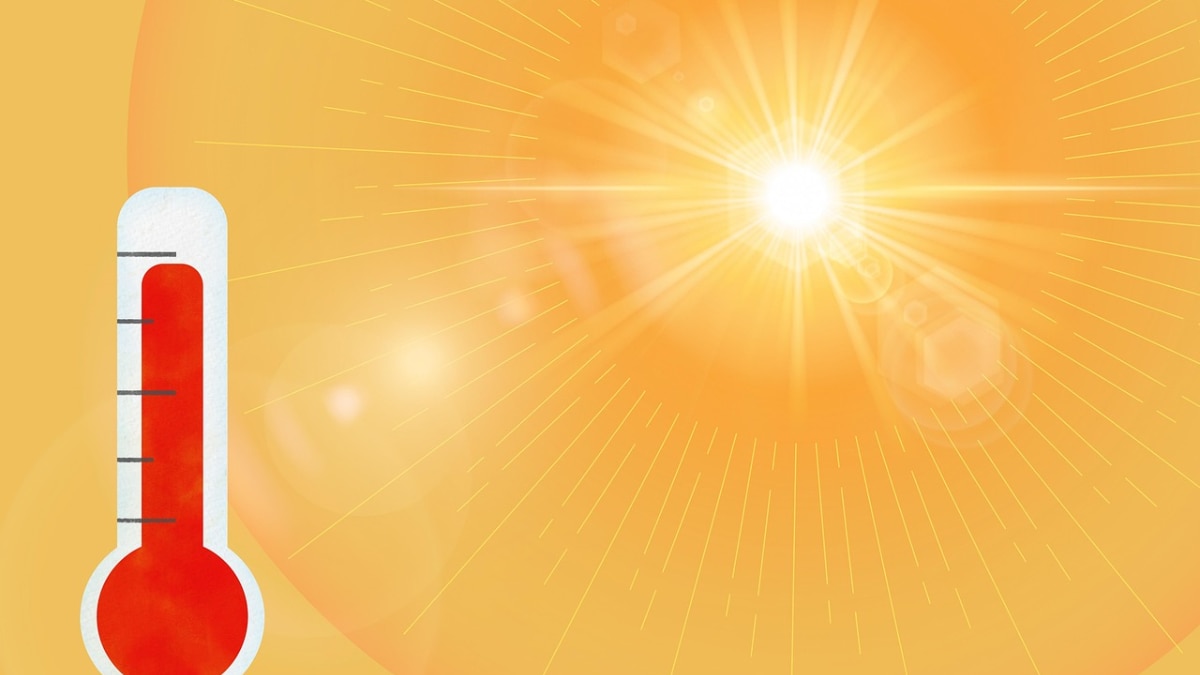 Ukraine Swelters Under Late-Summer Heatwave, Temperatures To Soar Above 35°C This Weekend