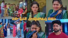 చిన్ని సీరియల్: పెళ్లి ఫిక్స్.. వెక్కి వెక్కి ఏడుస్తున్న మధు! మహి మీద ప్రేమ నిరూపించడానికి శ్రేయ పిచ్చి పని!