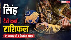 सिंह टैरो साप्ताहिक राशिफल (31 अगस्त–6 सितंबर 2025): अनायास लाभ की संभावना, जीवनसाथी का मिलेगा भरपूर सहयोग
