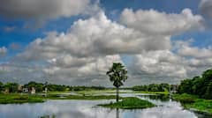 Weather Update: দিনভর মেঘলা আকাশ, প্রবল বর্ষণে দুর্ভোগ জেলায় জেলায়