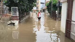 Gujarat Rain Forecast: રાજ્યમાં મેઘમહેર યથાવત, આજે 71 તાલુકામાં નોંધાયો વરસાદ