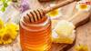किडनी को खराब कर सकता है नकली शहद, घर पर इस तरह करें पहचान