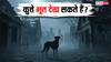 क्या कुत्तों को सच में दिखाई देता है भूत! असली सच क्या है?
