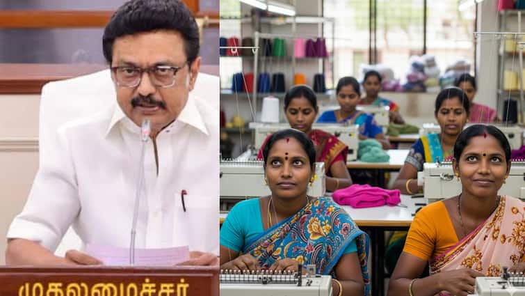 டிரம்ப் முடிவால் தவிக்கும் திருப்பூர்!  ரூ.3000 கோடி வர்த்தக இழப்பு - முதலமைச்சர் ஸ்டாலினின் அதிரடி ரியாக்‌ஷன்