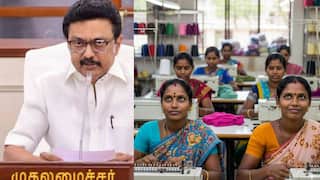 டிரம்ப் முடிவால் தவிக்கும் திருப்பூர்!  ரூ.3000 கோடி வர்த்தக இழப்பு - முதலமைச்சர் ஸ்டாலினின் அதிரடி ரியாக்‌ஷன்
