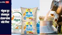 मोठी बातमी! गोकुळ दूध संघाकडून शेतकऱ्यांना गिफ्ट, गाईसह म्हशीच्या दूध दरात वाढ, जाणून घ्या सविस्तर माहिती