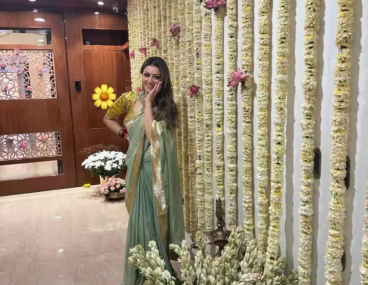 लेटेस्ट फोटो में हंसिका अकेली नजर आ रही हैं। किसी भी फोटो में उनके पति सोहेल नजर नहीं आ रहे हैं। इस मौके पर एक्ट्रेस पेस्टल ग्रीन साड़ी पहने नजर आईं।