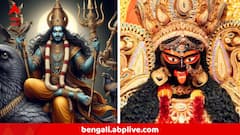 পুজোর পরই ভাগ্য বদলাবেন শনি, এক লাফে প্রচুর লাভ ৩ রাশির, চাকরিতে চূড়ান্ত সাফল্য, হিংসে করবে লোকে