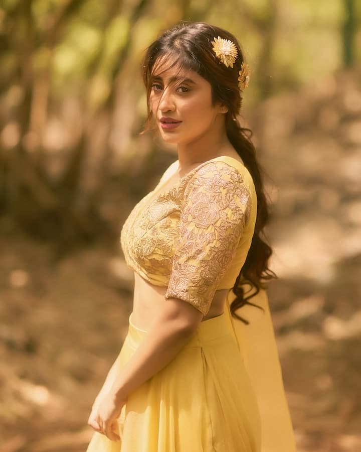 In this look, Shivangi is wearing a beautiful yellow outfit. Their blouse is embroidered with light golden threads and is accompanied by a floi yellow skirt. He has tied a little bit of hair accessory in it while keeping the hair open and has a hair accessory of flowers. Light makeup, nude lipstick and her soft smile are completing this entire look. In this look, Shivangi Ferry is giving vibe.