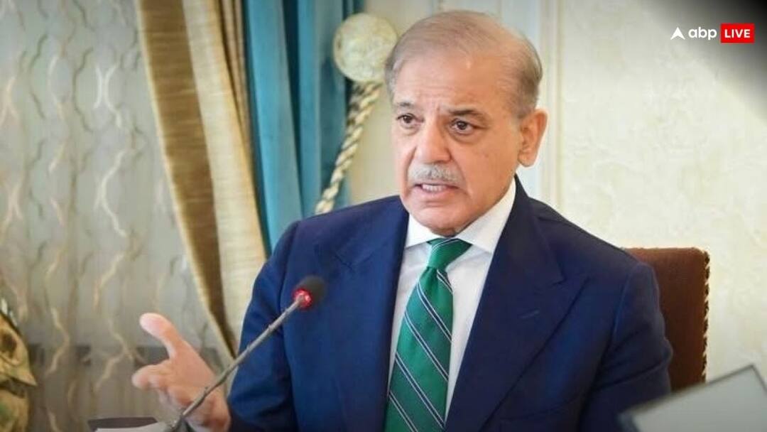 Pakistan fails to utilise 11 billion dollar foregin aid PAK Expert Qamar Cheema angry on Shehbaz Sharif Government over Flood Situation '11 अरब डॉलर का इस्तेमाल करने में नाकाम...', वर्ल्ड बैंक, एशियन बैंक और US से मिली मदद को लेकर क्यों शहबाज सरकार पर भड़के PAK एक्सपर्ट