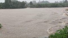 Rain: તાપી જિલ્લામાં અનરાધાર વરસાદ, અનેક નદીઓ બે કાંઠે, રસ્તાઓ જળમગ્ન