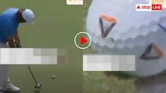 एक मक्खी ने जिता दिए 17 करोड़ रुपये! गोल्फ के मैदान में छोटी सी जान बनी बाजीगर- वीडियो देख नहीं आएगा यकीन