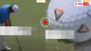 एक मक्खी ने जिता दिए 17 करोड़ रुपये! गोल्फ के मैदान में छोटी सी जान बनी बाजीगर- वीडियो देख नहीं आएगा यकीन